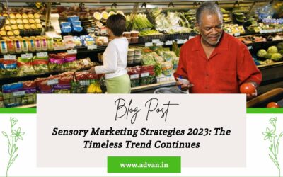 Sensory Marketing Strategies 2023: The Timeless Trend Continues